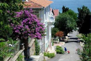 adalardan hangisine gitmeli adalar rehberi