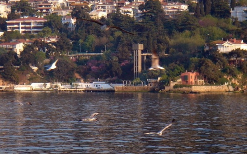 Büyükada Seferoğlu Tesisleri Önü