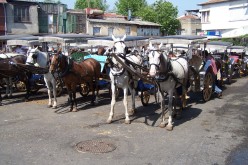 Büyükada 2014 Fayton Ücret Tarifesi