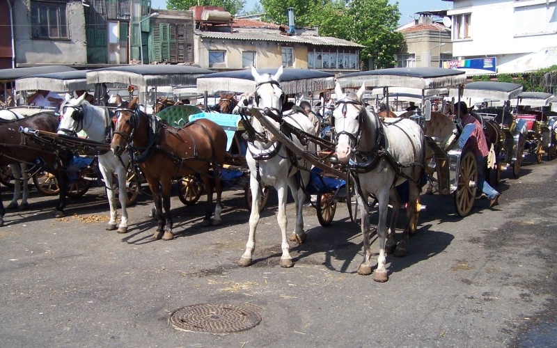 Büyükada 2014 Fayton Ücret Tarifesi