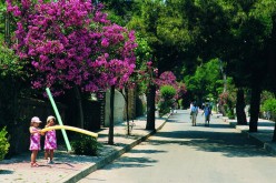 2014 Yılı Adalar’da Kurban Kesim Yerleri