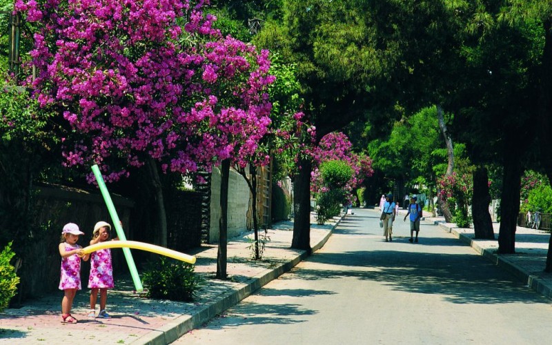 2014 Yılı Adalar’da Kurban Kesim Yerleri