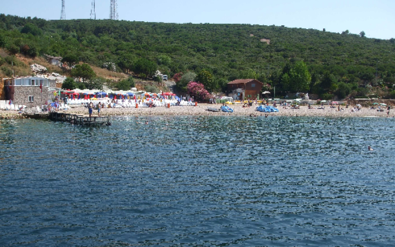 Kınalıada Ülker Restaurant Önü Deniz Analiz Sonuçları