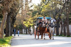 Heybeliada Fayton Ücret Tarifesi