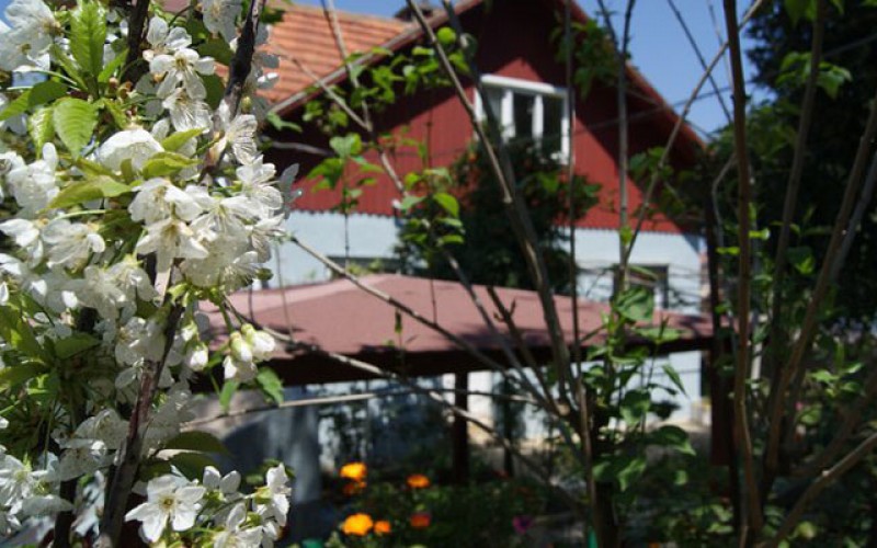 Büyükada Ece Pansiyon