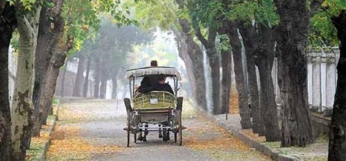 Cumhuriyet Bayramı Tatilinde Adalar’da Ne Yapabilirsiniz!