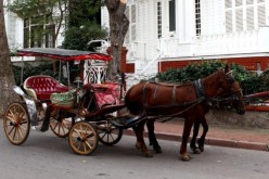 Burgazada Fayton Ücret Tarifesi 2016