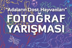 ‘ Adaların Dost Hayvanları ’ Fotoğraf Yarışması Başladı!