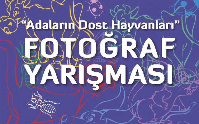 ‘ Adaların Dost Hayvanları ’ Fotoğraf Yarışması Başladı!