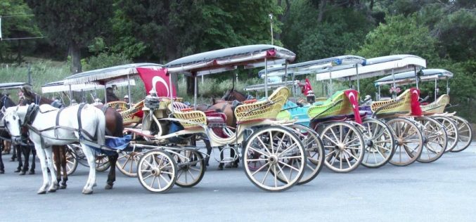 Truva Atı Operasyonu ile Büyükada Fayton Çetesine Darbe!