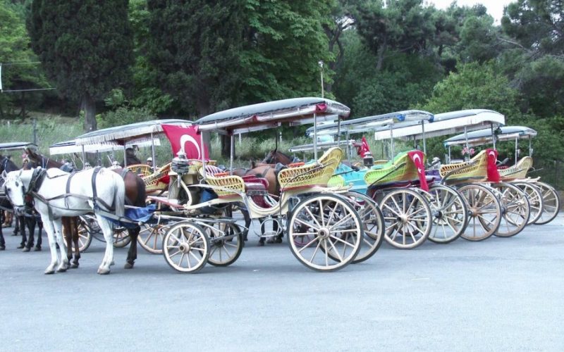 Truva Atı Operasyonu ile Büyükada Fayton Çetesine Darbe!