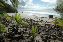 Issız Adalarda Yaşam Nasıl Olur? | Issız Adalar |  Yaşanabilir Issız Adalar Nerededir?