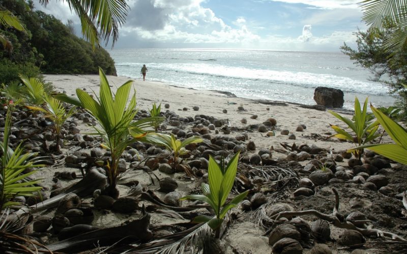 Issız Adalarda Yaşam Nasıl Olur? | Issız Adalar |  Yaşanabilir Issız Adalar Nerededir?