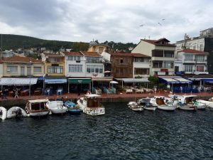 Kınalıada